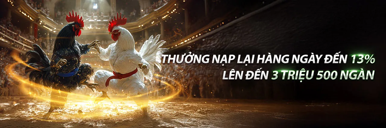 Đá gà trực tuyến b66 hiện đang mở