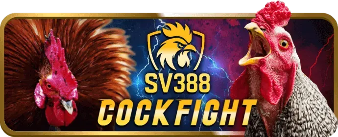 Biểu tượng Twitter của B66